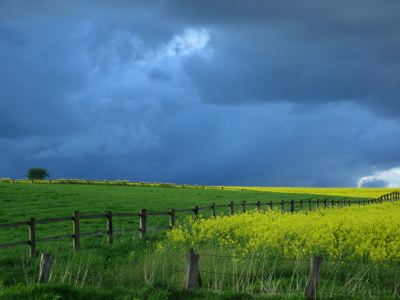 Raps und Regenwolken 2 Raps und Regenwolken 2